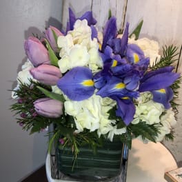 Purple tulips and blue irises with white hydrangeas in a square vase
