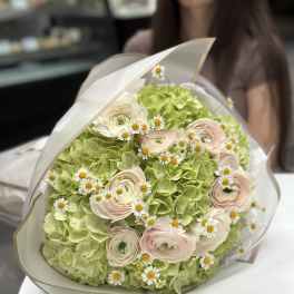 Bouquet of pale pink ranunculus and small white daisies in white wrap