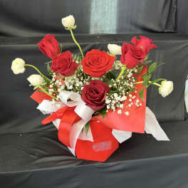 Red and white rose bouquet with baby's breath in red wrapping and ribbon