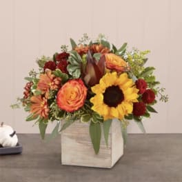Autumn bouquet with sunflowers, orange roses, and red blooms in a wooden box