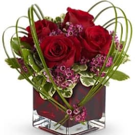 Red roses in a square glass vase with looping green stems