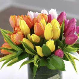 Colorful tulip bouquet in a clear glass vase