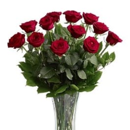 A Dozen Premium Roses