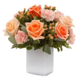 Peach roses and pink carnations in a white vase