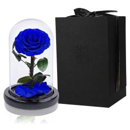 Blue rose under a clear dome beside a black gift box