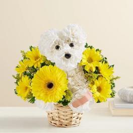 White flower dog in a basket surrounded by yellow daisies