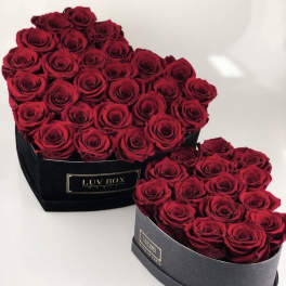 Two heart-shaped boxes filled with red roses