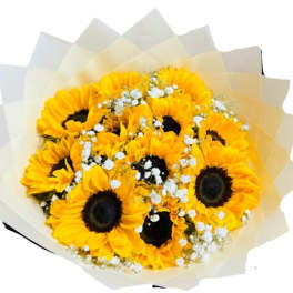 Hand-tied bouquet of bright yellow sunflowers with white filler flowers in cream paper wrap