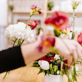 Person arranging red and white flowers in a vase