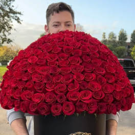 200 Premium Red Roses Signature Box