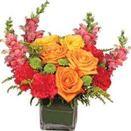 Orange and red flower arrangement in a square glass vase