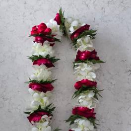 Orchid Lei (Double White Orchid withRed Rose Petals)