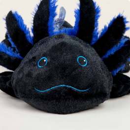 Black plush spider with blue accents and embroidered eyes