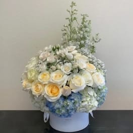 White and pale yellow rose arrangement in a round box with blue hydrangeas