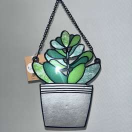 Hanging succulent wall ornament in a striped pot