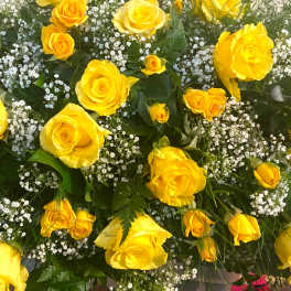 Cluster of yellow roses with small white filler flowers