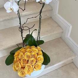 2 Orchids arranged with Yellow Roses in a ceramic container