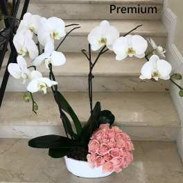 2 Orchids arranged with Pink Roses in a ceramic container.