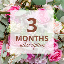 Pink and white rose bouquet with eucalyptus and a "3 months subscription" overlay