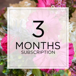 Graphic for a three-month subscription over a background of pink and white flowers.