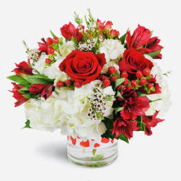 Red roses and white hydrangeas in a clear glass vase