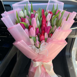 Bouquet of pink, white, and red tulips wrapped in pink paper