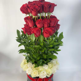 Tall arrangement of red and white roses in a black box with a red ribbon