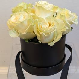 Cream roses arranged in a black round box with ribbon