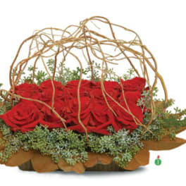 Low arrangement of red roses in a rectangular tray with a dome of curly branches and surrounding foliage