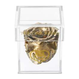 Single gold rose in a clear acrylic box
