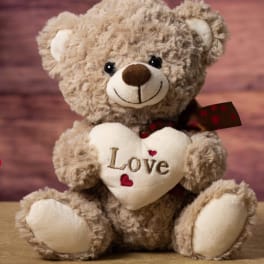 Plush teddy bear holding a heart that says Love
