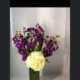 Purple flowers and pale yellow hydrangea in a tall glass vase