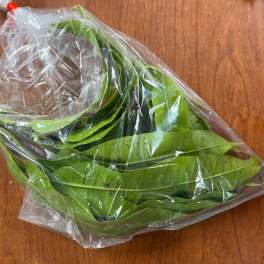 Plastic bag of green leaves on a wooden surface