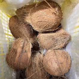 Bag of whole coconuts with husks