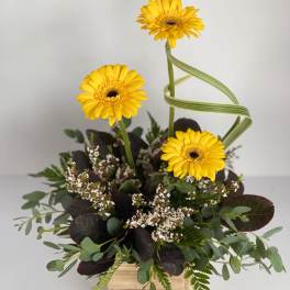 Yellow gerbera daisies in a wooden box with mixed greenery