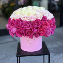 Round box arrangement of pink and white roses