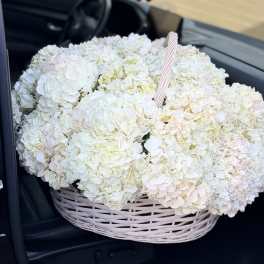 Xl Basket with hydrangeas