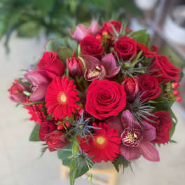 Bouquet of red roses, red gerbera daisies, tulips and mauve orchids