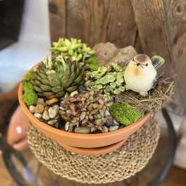 Succulent dish garden in a terracotta pot with a small bird figurine perched in a nest.