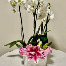 White orchids and pink lilies in a white ceramic planter
