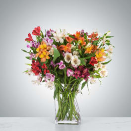 Tall mixed-color alstroemeria bouquet arranged in a clear rectangular glass vase