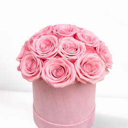 Pink roses arranged in a round pink box