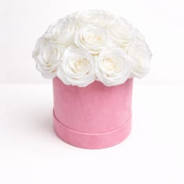 White roses arranged in a pink round box