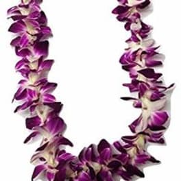Purple and white orchid lei on a white background