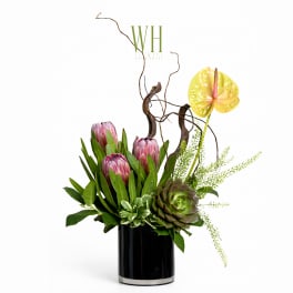 Protea and anthurium arrangement in a black vase with succulents