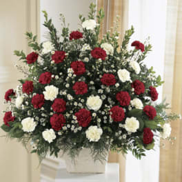 Red and white carnation arrangement in a white container