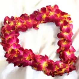 Pink and yellow orchid lei arranged in a heart shape on white fabric