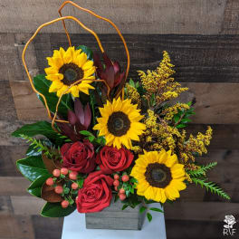 Sunflowers and red roses arranged in a gray box with orange curly branches