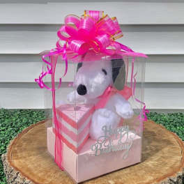 Plush Snoopy in a clear gift box with pink ribbon and a birthday sign