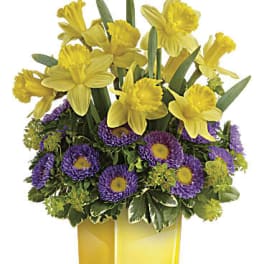 Playful Springtime Daffodil Bouquet